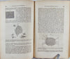 Carpenter, 1846 Elements of Physiology, including Physiological Anatomy