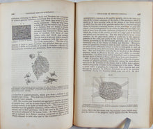 Load image into Gallery viewer, Carpenter, 1846 Elements of Physiology, including Physiological Anatomy