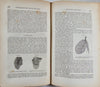 Carpenter, 1846 Elements of Physiology, including Physiological Anatomy