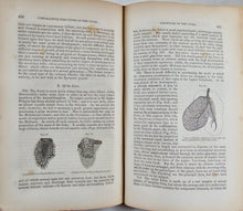 Load image into Gallery viewer, Carpenter, 1846 Elements of Physiology, including Physiological Anatomy