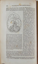 Load image into Gallery viewer, Carpenter, 1846 Elements of Physiology, including Physiological Anatomy