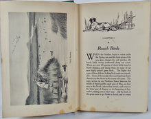Load image into Gallery viewer, Guns and Gunning, 1908 First Edition