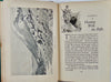 Guns and Gunning, 1908 First Edition