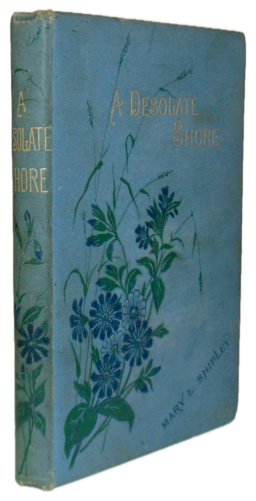 Mary Shipley, A Desolate Shore: A Story for Boys, SPCK
