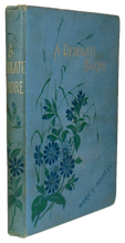 Load image into Gallery viewer, Mary Shipley, A Desolate Shore: A Story for Boys, SPCK