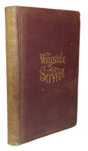 Load image into Gallery viewer, Anna Shipton. Wayside Service; or, The Day of Small Things (1870)