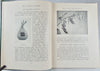 How to Attract the Birds and other Talks about Bird Neighbours (1902)