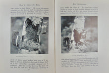 Load image into Gallery viewer, How to Attract the Birds and other Talks about Bird Neighbours (1902)