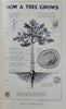 This Fascinating Lumber Business. 1943 First Edition