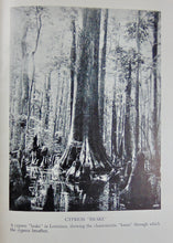 Load image into Gallery viewer, This Fascinating Lumber Business. 1943 First Edition