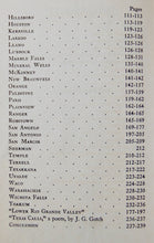Load image into Gallery viewer, Texas as it is Today, 1925 First Edition