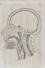 Load image into Gallery viewer, The Key-Stone Collection of Church Music (1856)