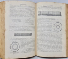 Load image into Gallery viewer, Stillé &amp; Maisch. The National Dispensatory, 1879, Action &amp; Uses of Medicines