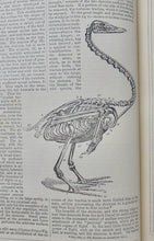 Load image into Gallery viewer, The Circle of the Sciences (4 volume set)., thousands of illustrations, ca 1870
