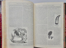 Load image into Gallery viewer, The Circle of the Sciences (4 volume set)., thousands of illustrations, ca 1870