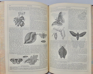 The Circle of the Sciences (4 volume set)., thousands of illustrations, ca 1870
