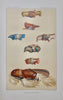 Powell. Second Annual Report, American Indians, Bureau of Ethnology 1880-81