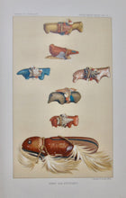 Load image into Gallery viewer, Powell. Second Annual Report, American Indians, Bureau of Ethnology 1880-81