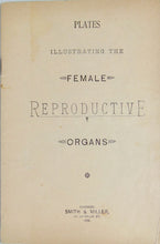 Load image into Gallery viewer, 1887 Wife and Mother, Babies &amp; Children, with plates of Reproductive Organs