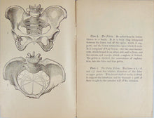 Load image into Gallery viewer, 1887 Wife and Mother, Babies &amp; Children, with plates of Reproductive Organs