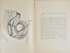 1887 Wife and Mother, Babies & Children, with plates of Reproductive Organs