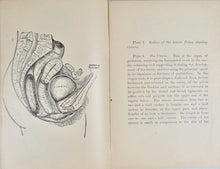 Load image into Gallery viewer, 1887 Wife and Mother, Babies &amp; Children, with plates of Reproductive Organs