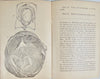 1887 Wife and Mother, Babies & Children, with plates of Reproductive Organs