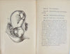 1887 Wife and Mother, Babies & Children, with plates of Reproductive Organs