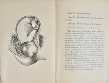 Load image into Gallery viewer, 1887 Wife and Mother, Babies &amp; Children, with plates of Reproductive Organs