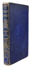 Load image into Gallery viewer, [CHROMOLITHOGRAPH] Wealth and Fashion (The Parlor Library)
