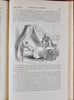 1855 Napoleon at St. Helena, Conversations of the Emperor in Captivity