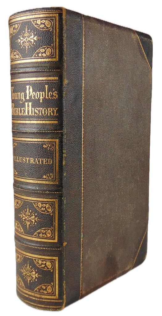 1873 Young People's Illustrated Bible History, Illustrated