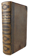 1873 Young People's Illustrated Bible History, Illustrated