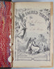 1873 Young People's Illustrated Bible History, Illustrated