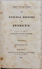 Load image into Gallery viewer, The Natural History of Insects (2 volumes)