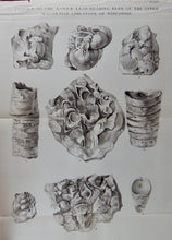 Load image into Gallery viewer, [MAP] 1839 Geological Exploration of part of Iowa, Wisconsin, and Illinois
