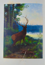 Load image into Gallery viewer, Gorgeous Denton Fish Plates, Adirondack Forestry, Fish and Game 1902