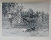 Gorgeous Denton Fish Plates, Adirondack Forestry, Fish and Game 1902