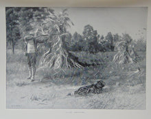 Load image into Gallery viewer, Gorgeous Denton Fish Plates, Adirondack Forestry, Fish and Game 1902
