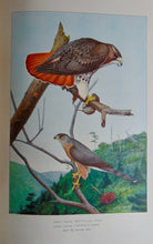 Load image into Gallery viewer, Gorgeous Denton Fish Plates, Adirondack Forestry, Fish and Game 1902