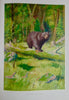 Gorgeous Denton Fish Plates, Adirondack Forestry, Fish and Game 1902