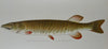 Gorgeous Denton Fish Plates, Adirondack Forestry, Fish and Game 1902