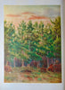 1910 Illustrated NYS Forest, Fish & Game, Gift of Franklin D. Roosevelt