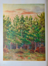 Load image into Gallery viewer, 1910 Illustrated NYS Forest, Fish &amp; Game, Gift of Franklin D. Roosevelt