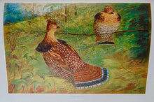 Load image into Gallery viewer, 1910 Illustrated NYS Forest, Fish &amp; Game, Gift of Franklin D. Roosevelt