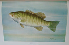 Load image into Gallery viewer, 1910 Illustrated NYS Forest, Fish &amp; Game, Gift of Franklin D. Roosevelt