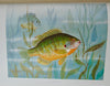 1910 Illustrated NYS Forest, Fish & Game, Gift of Franklin D. Roosevelt