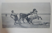 Load image into Gallery viewer, 1875-1880 The Art Journal. Six Volumes I-VI, over 200 steel engravings