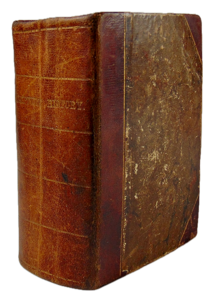 [BIBLE] 1829 Scripture History for the Young, copperplate engravings