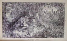 Load image into Gallery viewer, Life and Explorations of David Livingstone, The Great Missionary Explorer